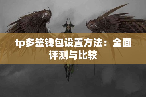 tp多签钱包设置方法：全面评测与比较