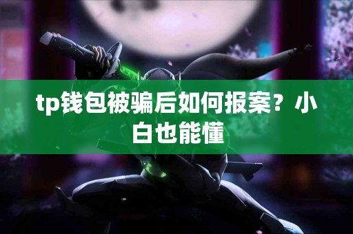 tp钱包被骗后如何报案？小白也能懂